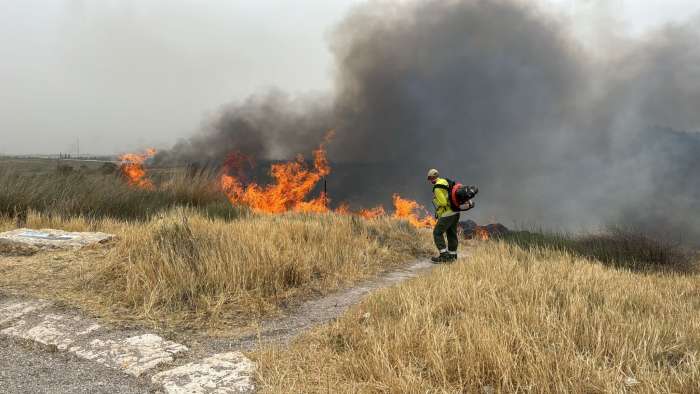 תיעוד מהשריפה בשמורת הטבע מעיינות גיבתון. קרדיט צילום יריב מליחי, רשות הטבע והגנים.