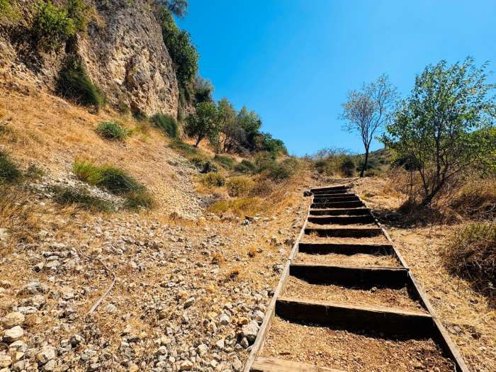 צילום: נאג'י רשאש, רשות הטבע והגנים