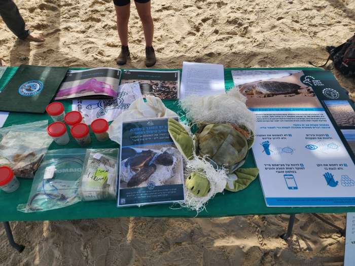 אירוע השבת צב ים לטבע