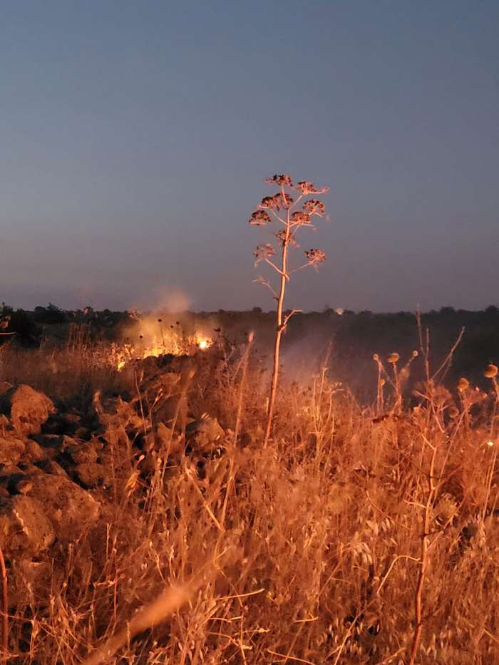 שריפה ברמת הגולן, צילום ערן היימס רשות הטבע והגנים