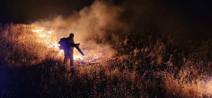 שריפה ברמת הגולן, צילום ערן היימס רשות הטבע והגנים