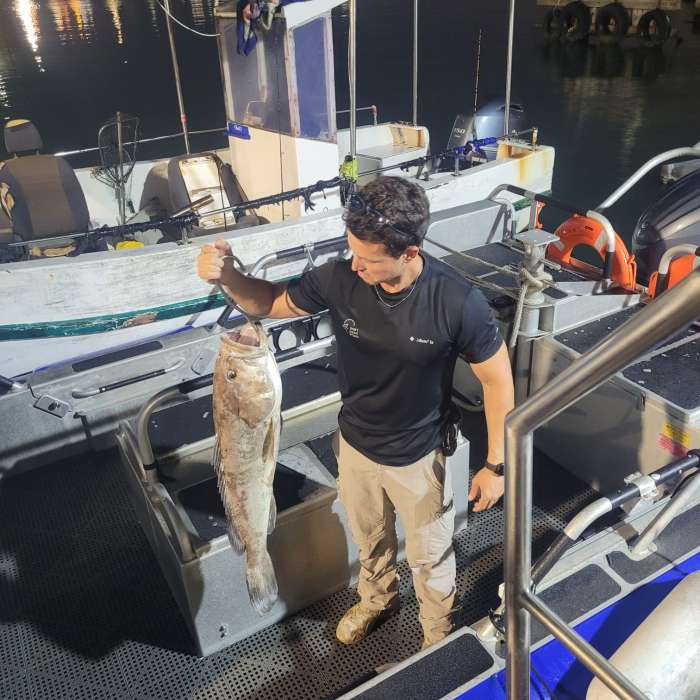 הוחרמה סירת דיג שעסקה בדיג לא חוקי בתקופת הרבייה