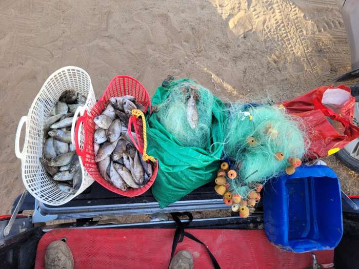 הוחרמה סירת דיג שעסקה בדיג לא חוקי בתקופת הרבייה