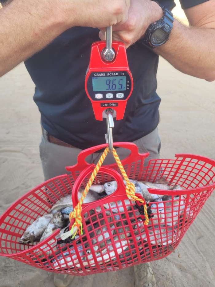 הוחרמה סירת דיג שעסקה בדיג לא חוקי בתקופת הרבייה