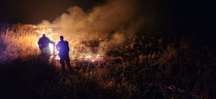 שריפה ברמת הגולן, צילום ערן היימס רשות הטבע והגנים