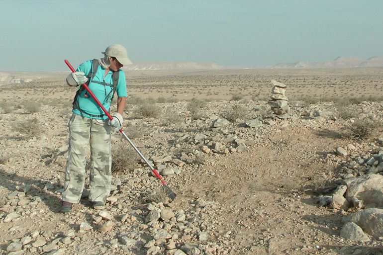 הכשרת מקטע השביל בין שדה בוקר לגן לאומי עבדת על ידי מתנדבים. צילום: תמי קרן-רותם