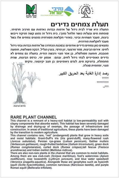 שלט לשימור: צמחים נדירים באזור התעלה בכפר יהושע