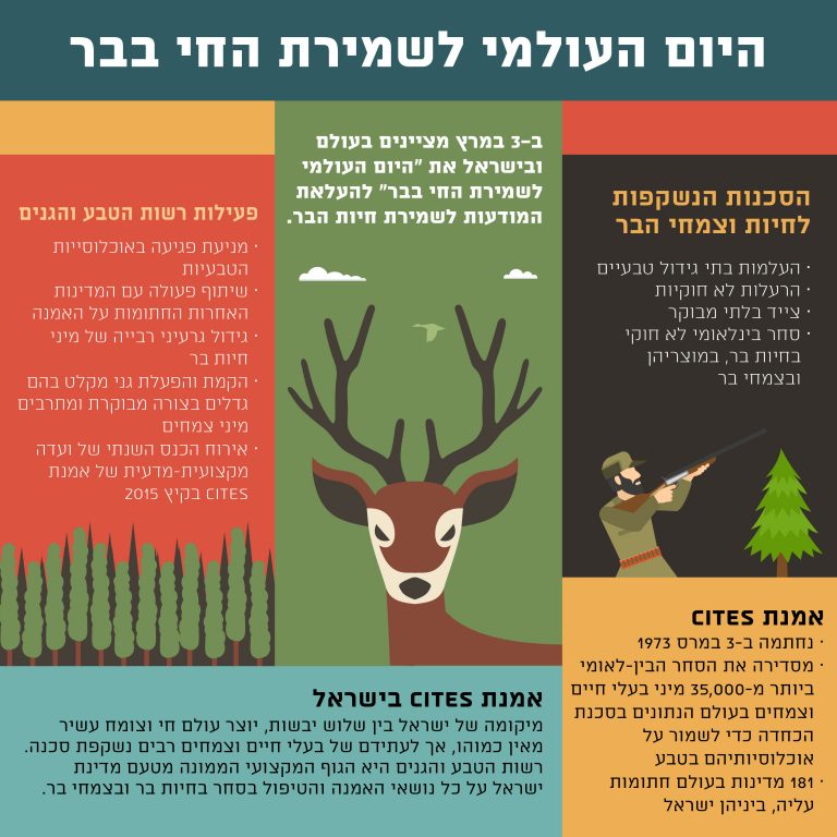 להגדלה הקישו כאן