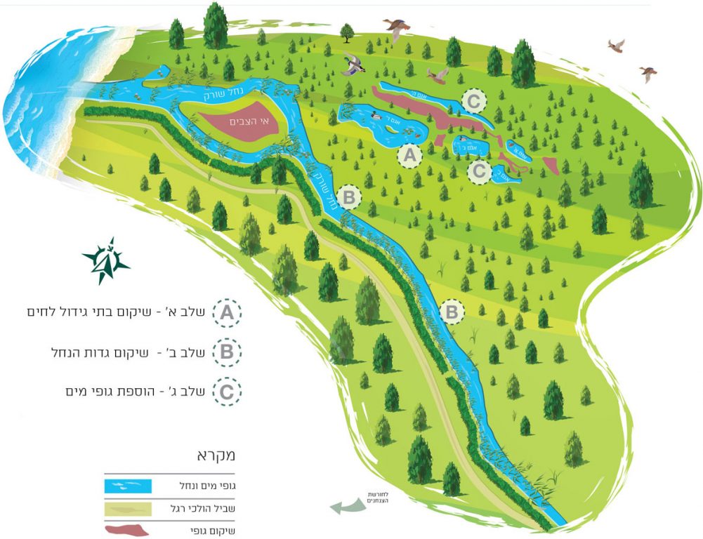 עולם החי והצומח בשפך נחל שורק