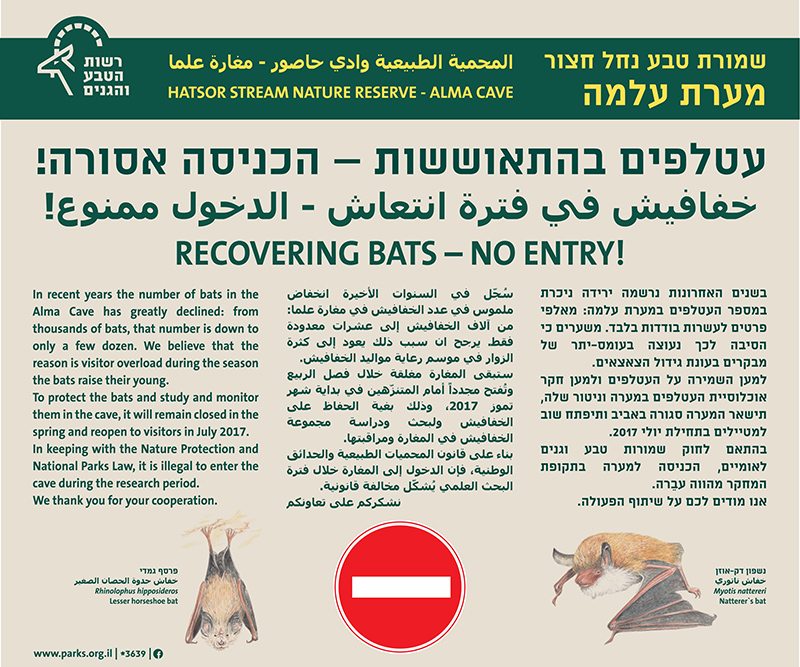 שלט השלוש שפות: עברית, ערבית ואנגלית: הכניסה למערת עלמה שבשמורת טבע נחל חצור אסורה - עטלפים בהתאוששות
