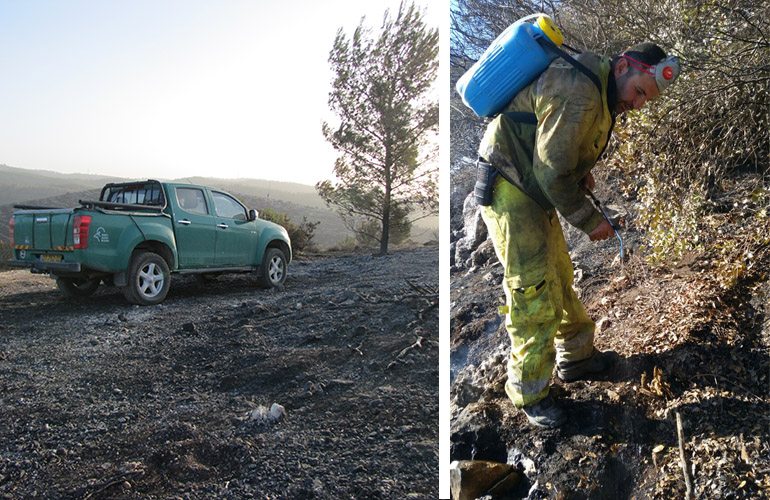 פקחי רשות הטבע והגנים בעת כיבוי השרפה בכרמל, נובמבר 2016. צילום: שי קורן