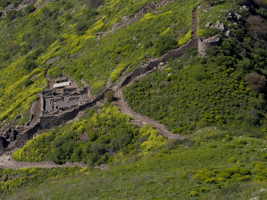 השביל היורד אל גמלא העתיקה בשמורת טבע גמלא בגולן. שביל הטיול המתפתל בלב הנוף הוא הדרך היעילה, המעניינת והמהנה ביותר להתמזג עם הטבע הפראי שבשוליו. צילום: דורון ניסים