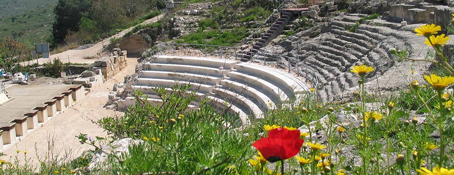 ציפורי-תיאטרון