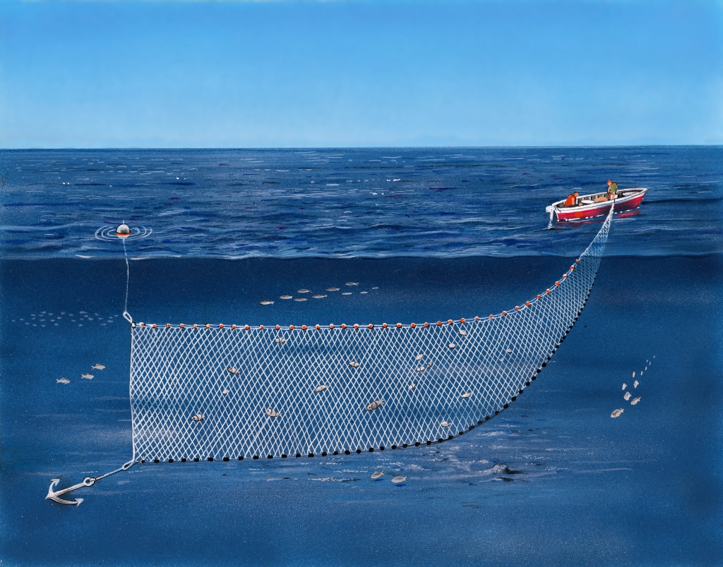 רשת עמידה.jpg