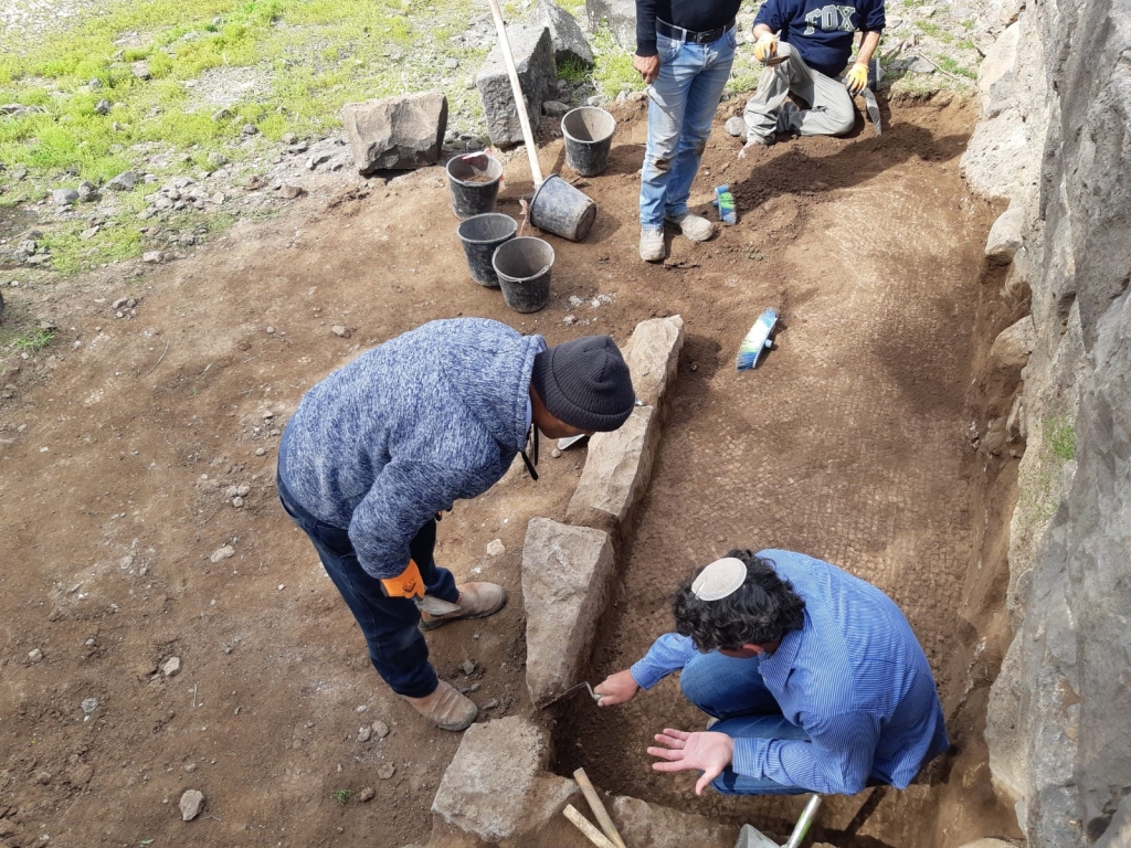 חופרים בכורזים.jpeg