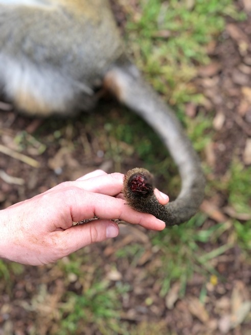 WhatsApp Image 2019-04-16 at 14.37.52 (1)