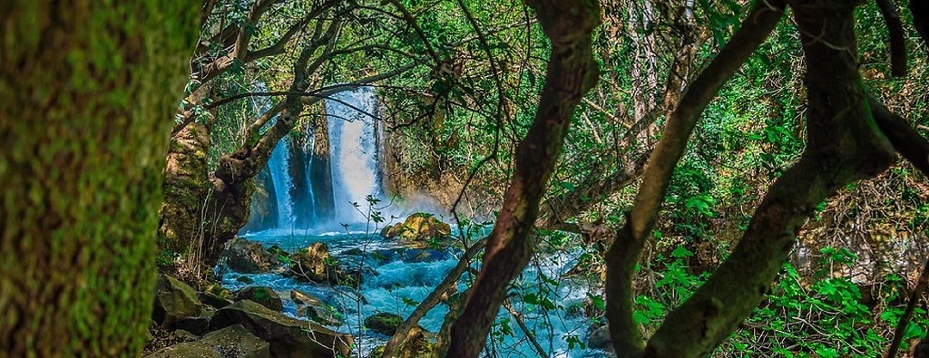 בניאס - מנו גרינשפן (58) - מובייל.jpg