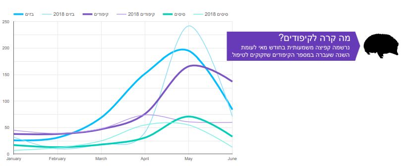 כמה קיפודים טופלו