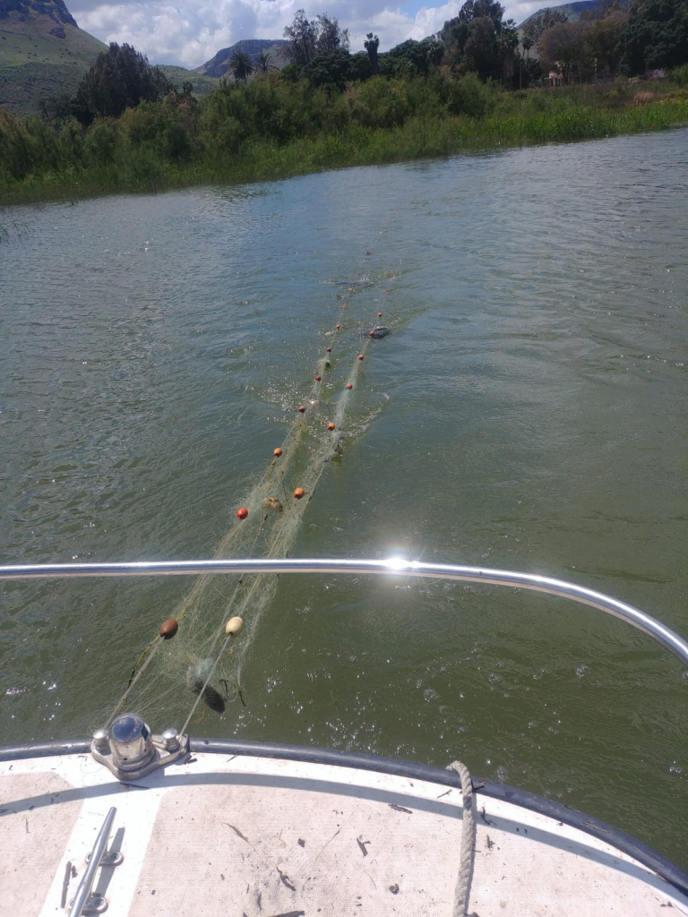 משיכת רשת דיג שנתפסה על פי תקנת גינוסר-הגדרת שטח האסור בדיג. צילום: אלדד איתן