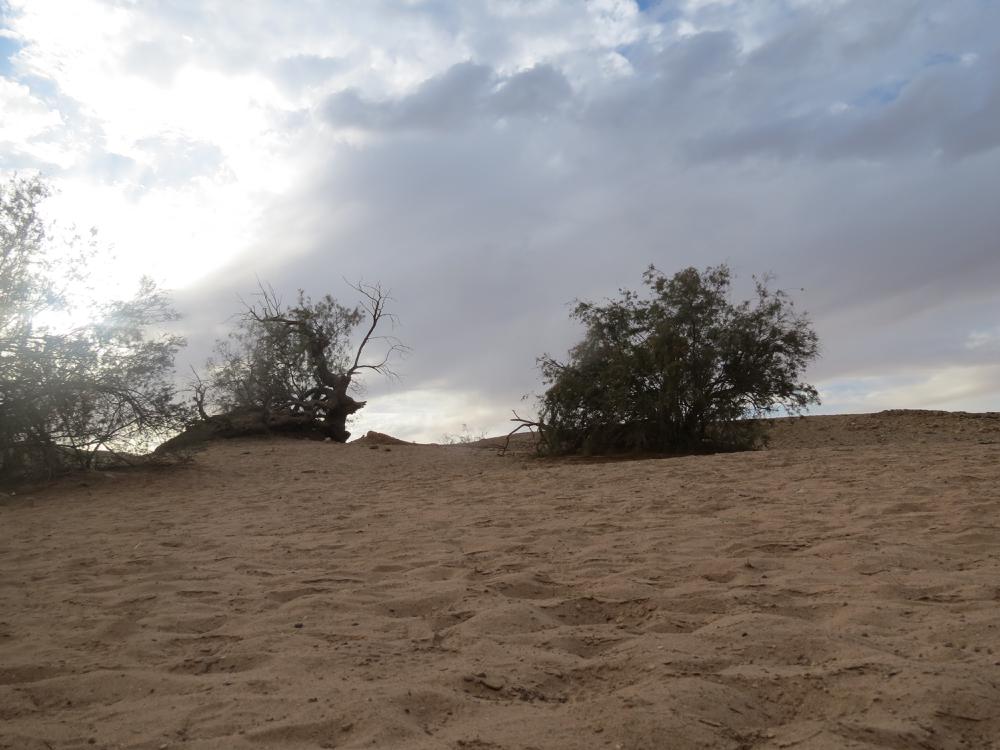 עין סהרונים