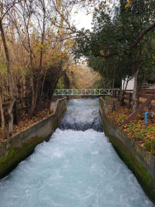 תל דן תל דן - צילמו משפחות שרטון ודיין