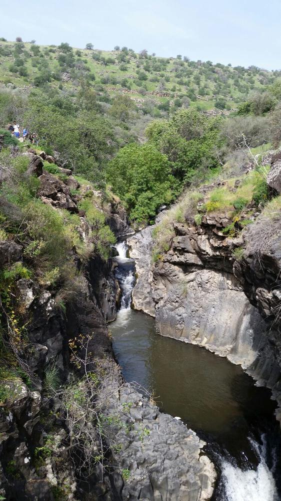 שמורת טבע יער יהודיה- נחל זויתן- עידו שקד