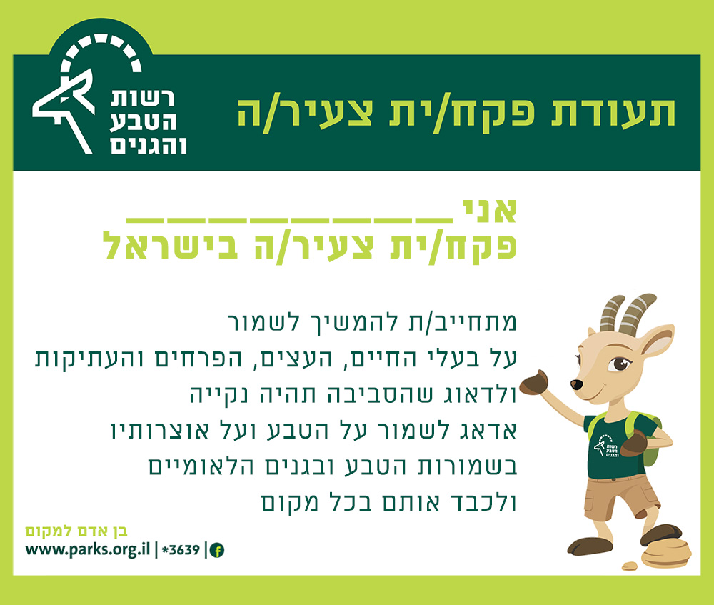 תעודת פקחים צעירים