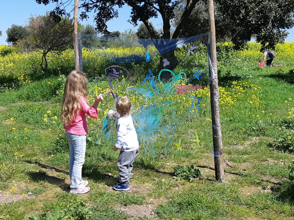 כוכב הירדן כוכב הירדן. צילום: אבי בן דוד