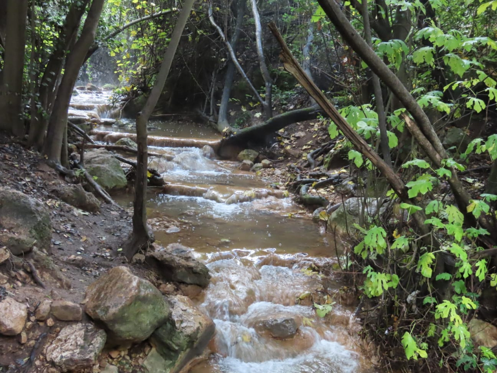 שמורת נחל עמוד, צילום שרית פלצי מאירה