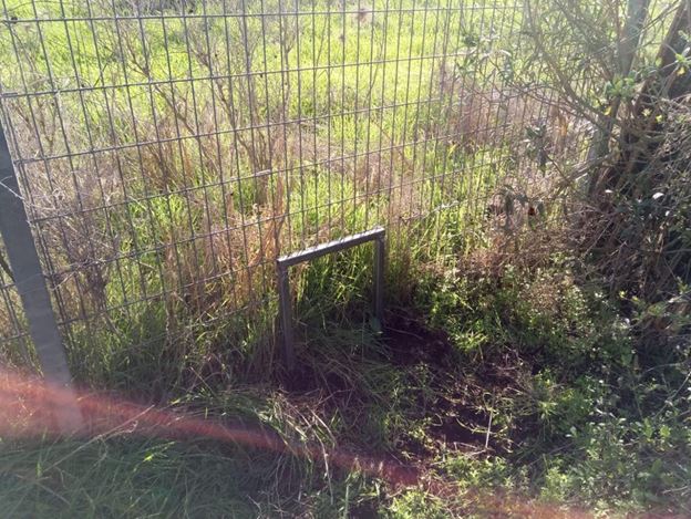 מעבר בעלי חיים בגדר הגן הלאומי