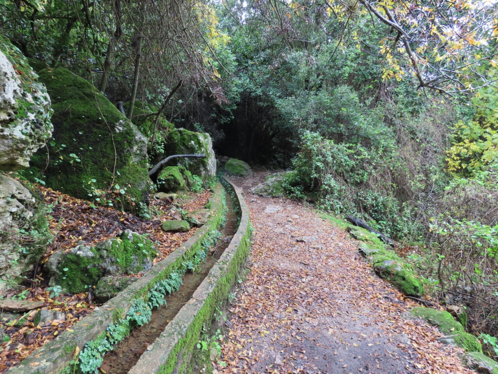 שמורת טבע נחל עמוד, צילום שרית פלצי מאירה