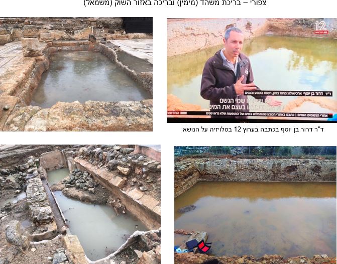 בריכת משהד בציפורי