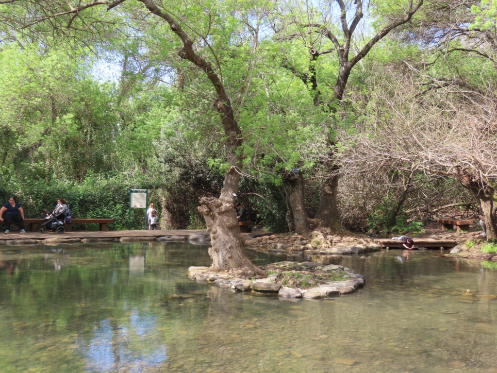 תל דן, צילום שרית פלצי מאירה