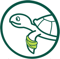 אייקון צב ים פצוע- תחבושת ירוקה