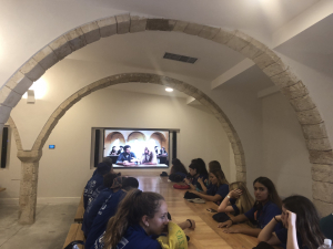 פעילות אינטראקטיבית בציפורי