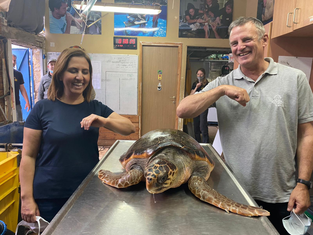 שאול גולדשטיין, גילה גמליאל וצבת ים