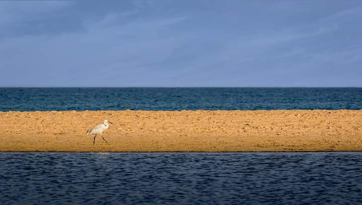 שכבות_איתמר