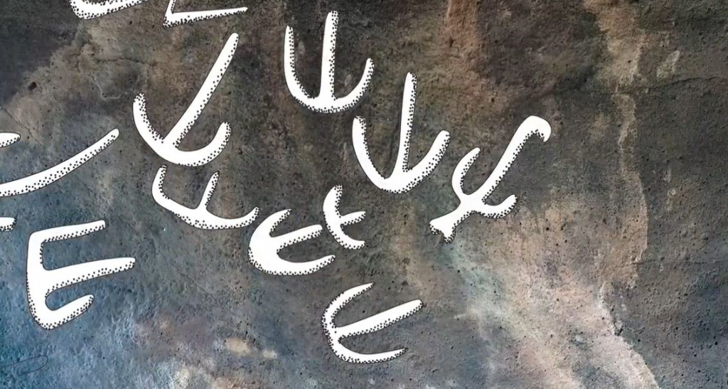 איורים להמחשת החרותות על תקרת הדולמן שליד שמיר. איור חגית טחן וצילום יניב ברמן רשות העתיקות