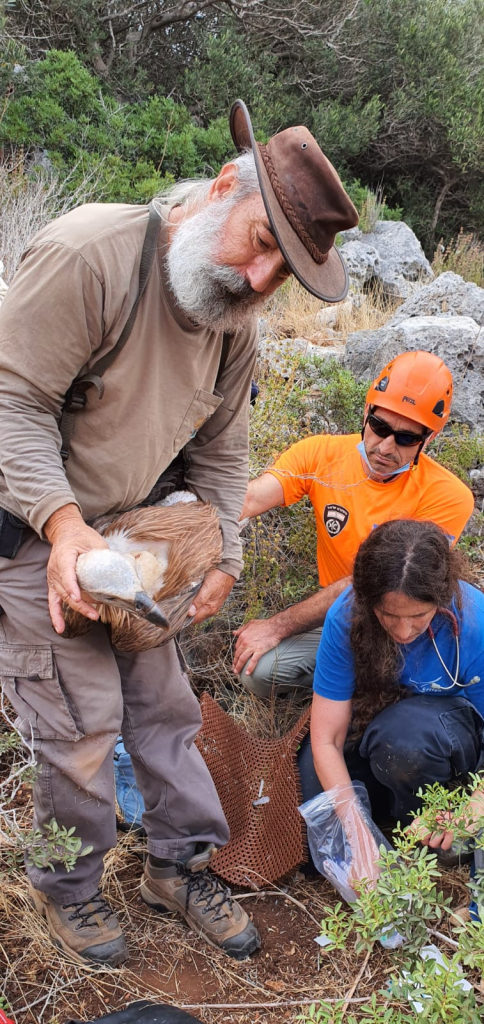 צילום ירון בר יחידת חילוץ גליל כרמל