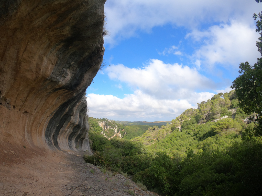 צניר בנחל כלח - רן פרץ