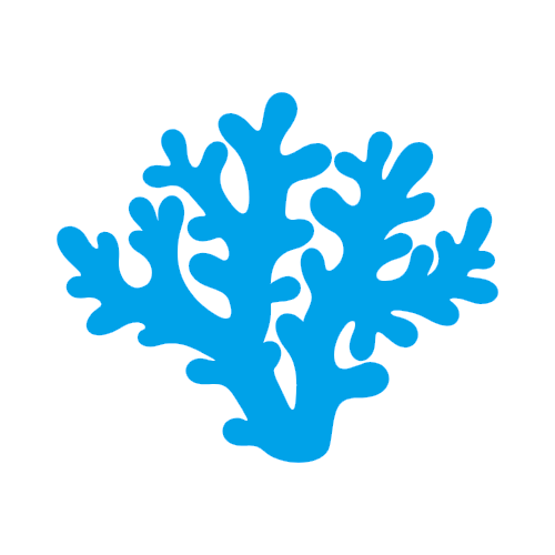 אייקון אלמוג