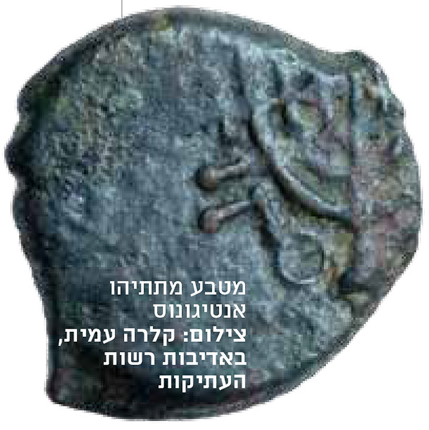 מטבע מתתיהו אנטיגונוס - צילום קלרה עמית, באדיבות רשות העתיקות