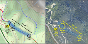 מפת חורשת ה 40 בכרמל