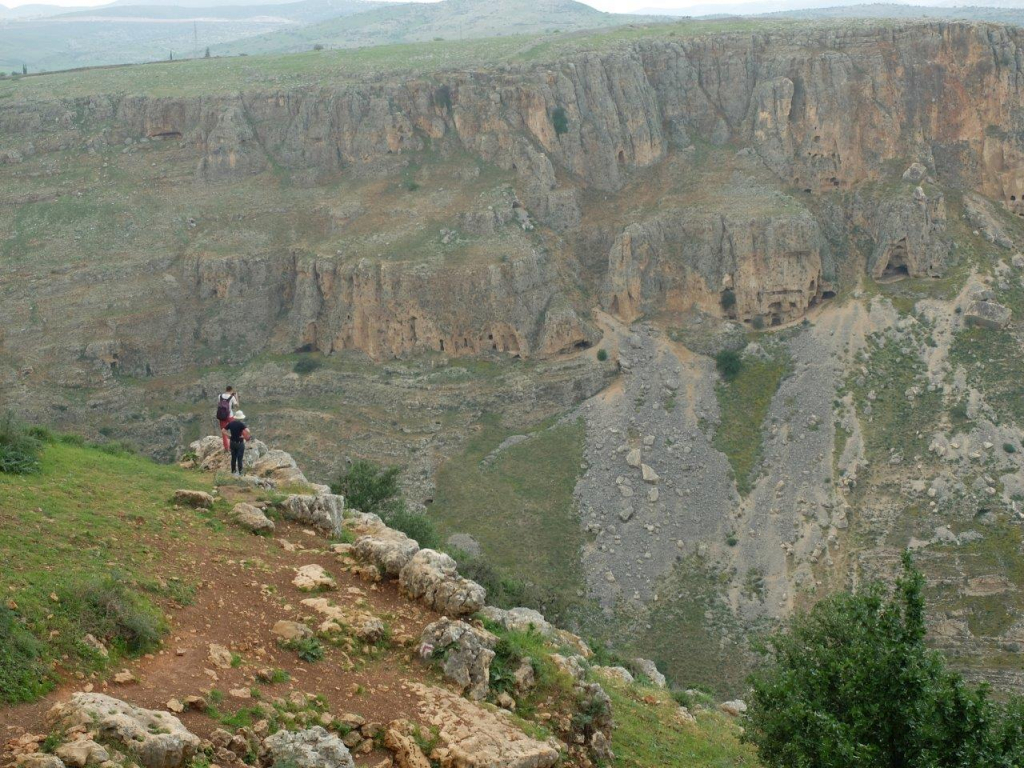 ארבל - צילם אייל שפירא