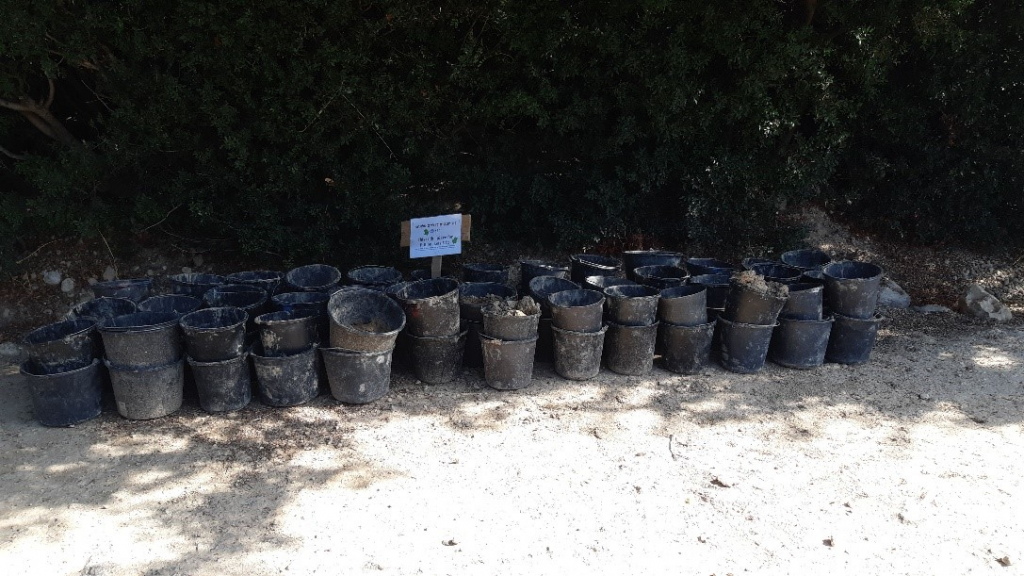 דליים נערמים בראש תל חצור