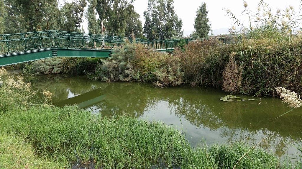 גשר להולכי רגל עובר מעל הקטע המשוקם של נחל נעמן- צילום הלל גלזמן