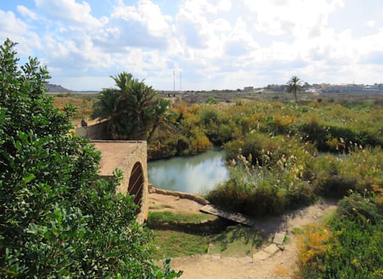 נחל תנינים - יניב כהן