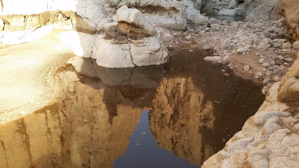 הזיהום בנחל אשלים בחודש יולי 2017 - צילום שרון טל