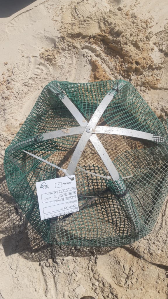 קן בנחל חדרה - נועם מצרי רשות הטבע והגנים