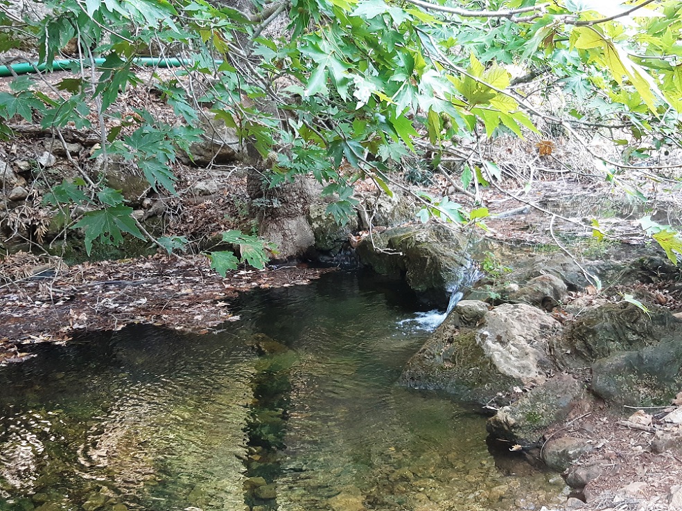 המים חזרו לנחל בצת ומובלים אליו בצינור- צילום הילל גלזמן